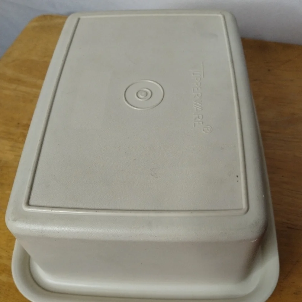 Vintage Tupperware freeze and save ice cream keeper
